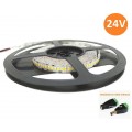 STRISCIA LED 1200LED SMD Bobina 5mt Strip 2835 24V ALTA LUMINOSITA' IP20