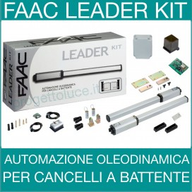 FAAC KIT CANCELLO DOPPIO BATTENTE 230V 412 LEADERKIT 105633445